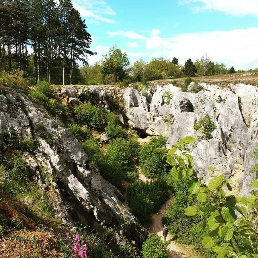 Verblijfpark Ardinam Olloy-sur-Viroin Εξωτερικό φωτογραφία